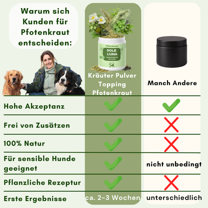 immunsystem hund natürlich stärken