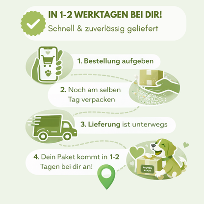 immunsystem vom hund stärken
schnell