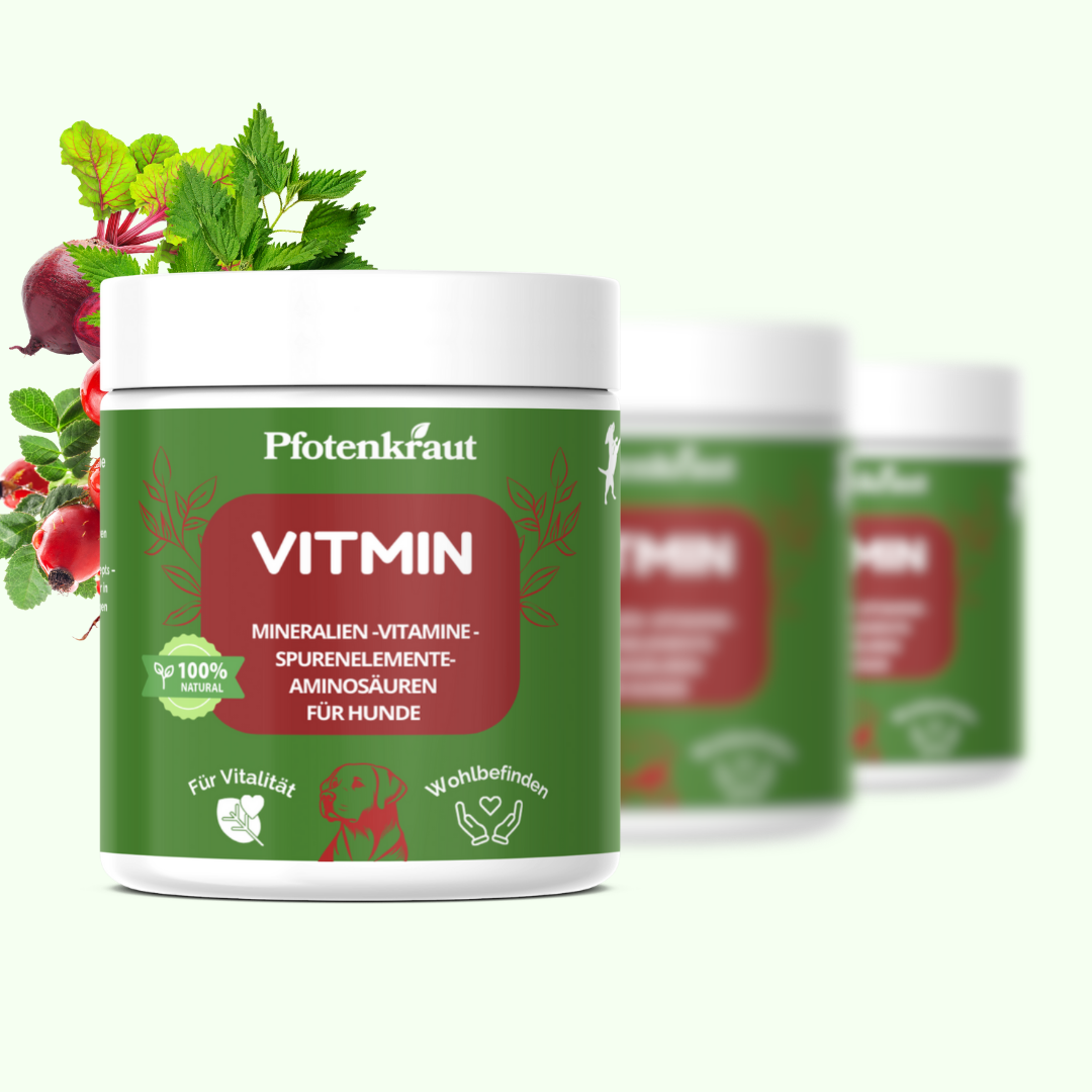 Vitamine Mineralien für Hunde
