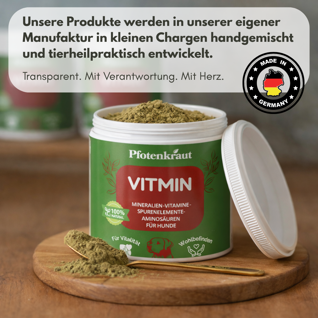 Immunsystem Hund Kräuter