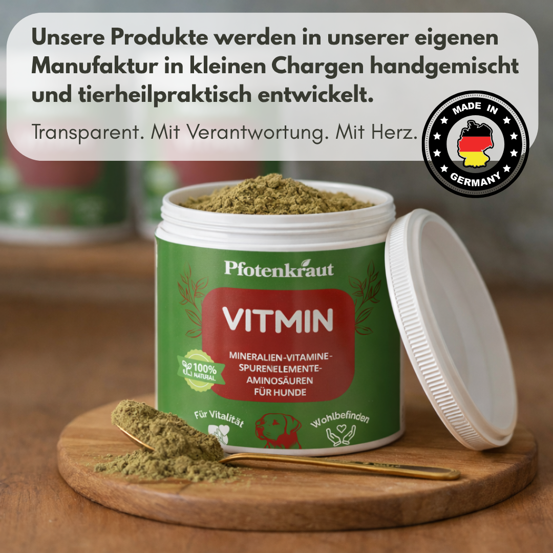 aufbau immunsystem hund
