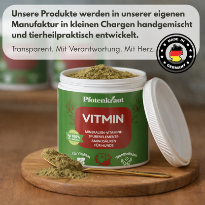 aufbau immunsystem hund