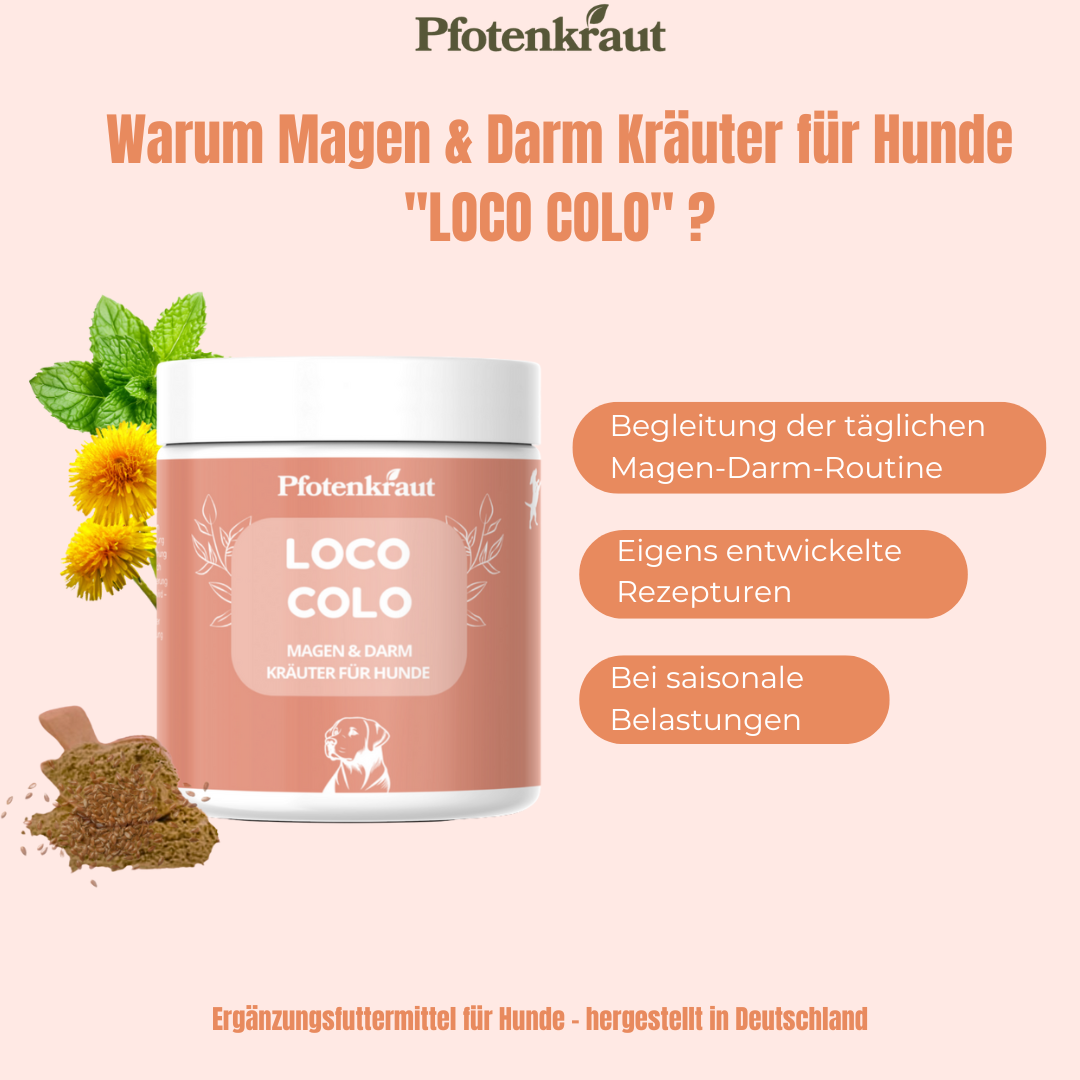 Schleim auf Kot beim Hund 