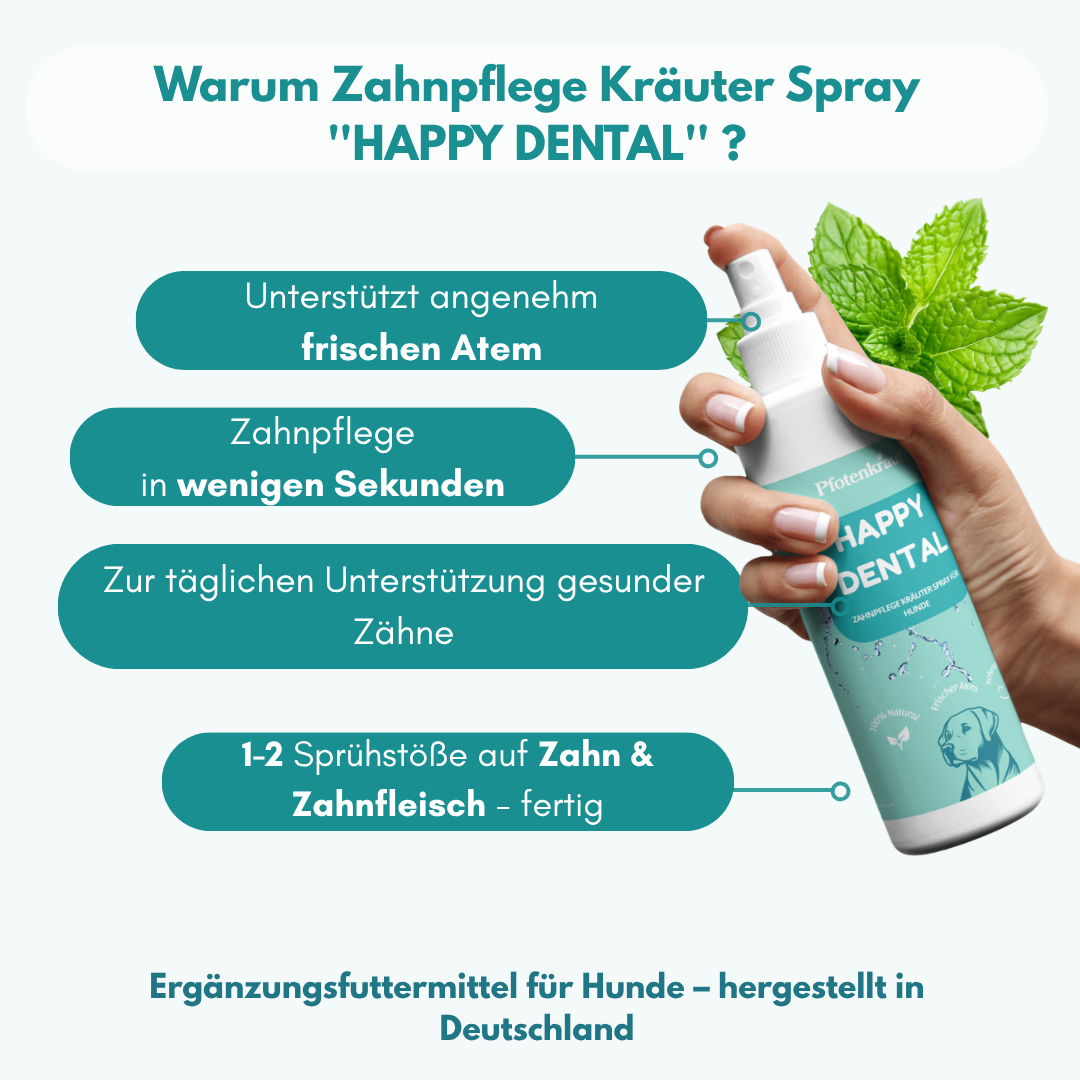 dentalspray für hunde
