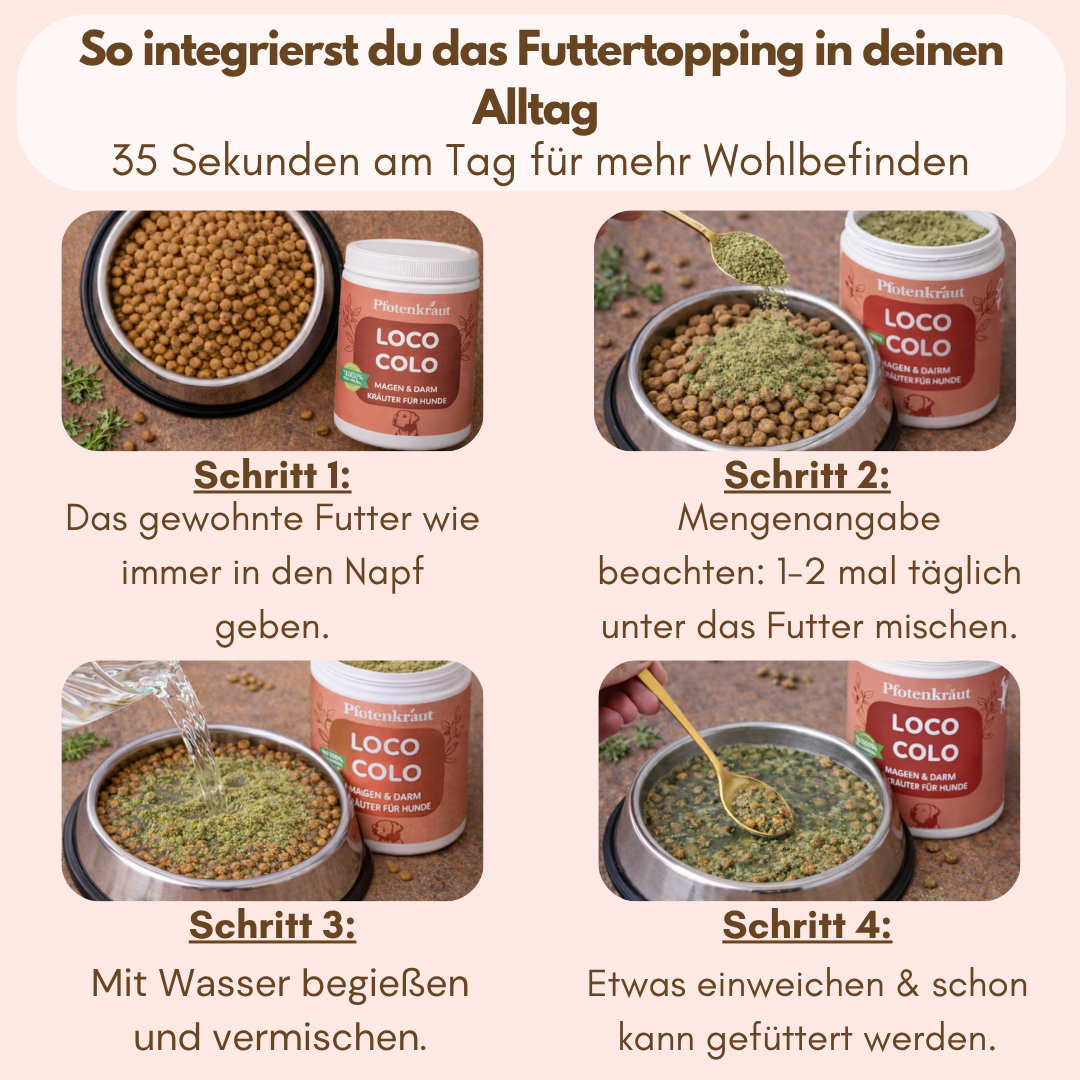 darmprobleme hund symptome
