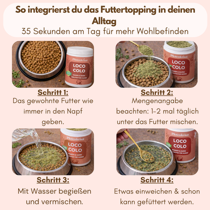 darmprobleme hund symptome
