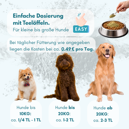 Gelenke hund