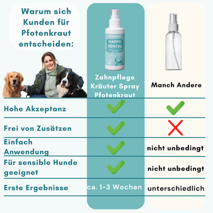 hunde zähne putzen hausmittel
