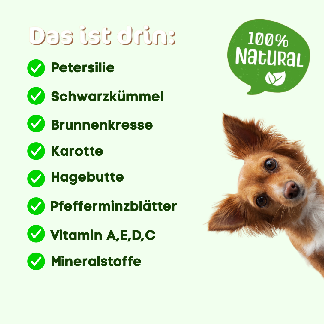 welche kraeuter helfen bei wurmbefall hund