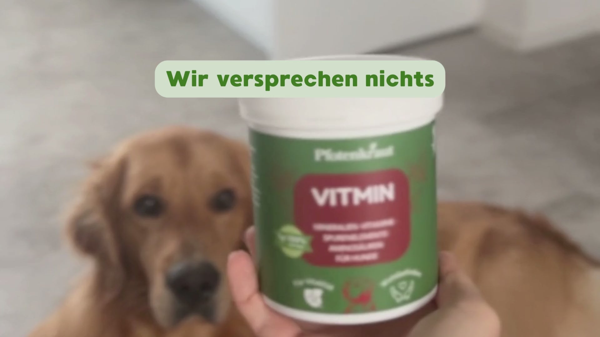 Video laden: Hunde Kräuter hoher Qualität