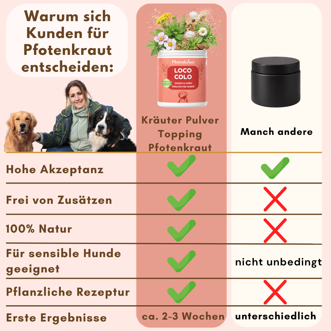 darmprobleme beim hund

